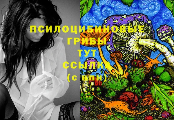 герыч Абаза